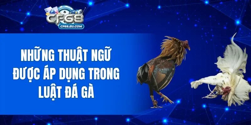 Những thuật ngữ được áp dụng trong luật đá gà